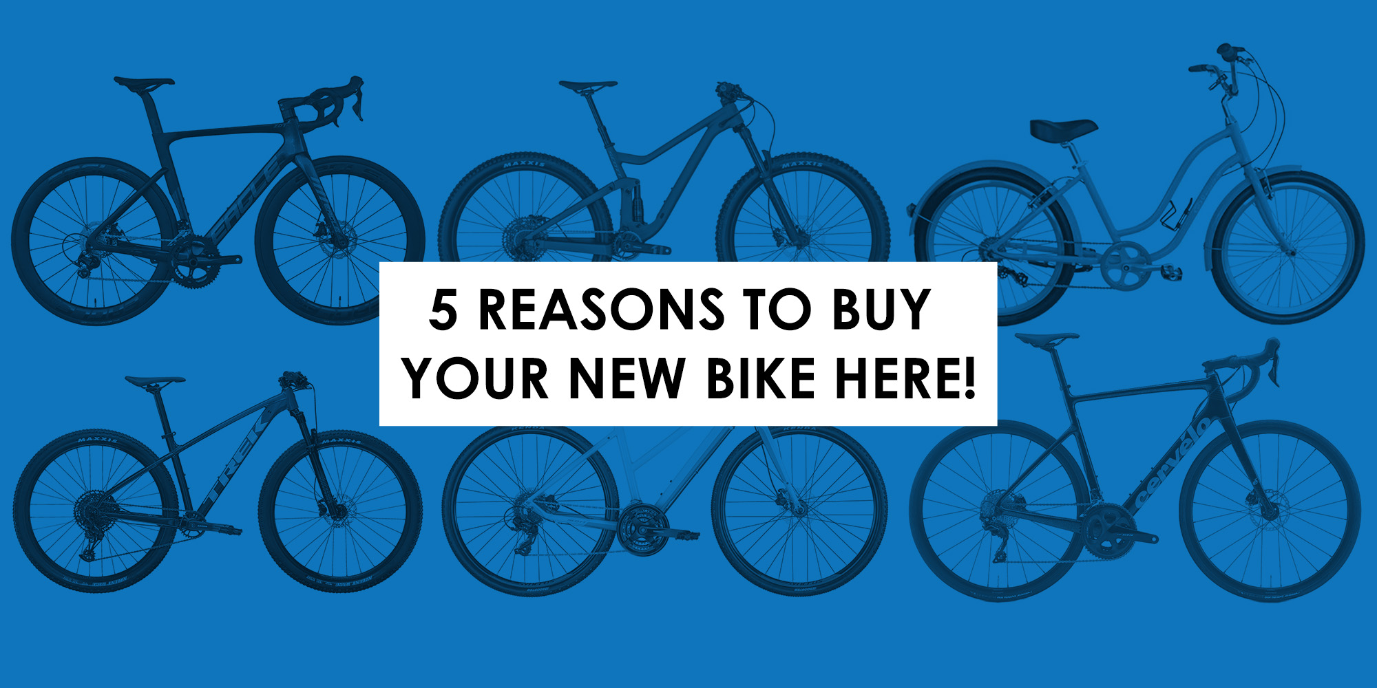 5 Reasons to Buy Your New Bike at Bikes Palm Beach!