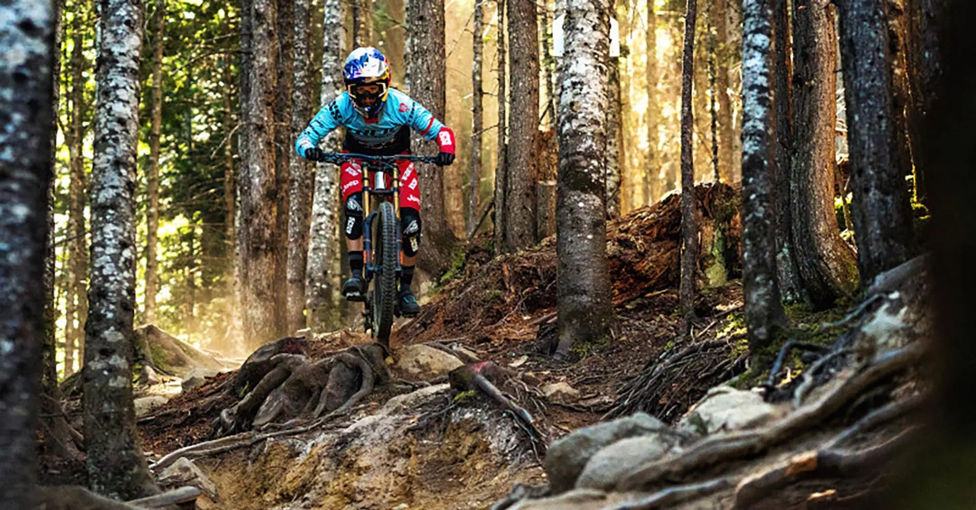 Trek Session Downhill